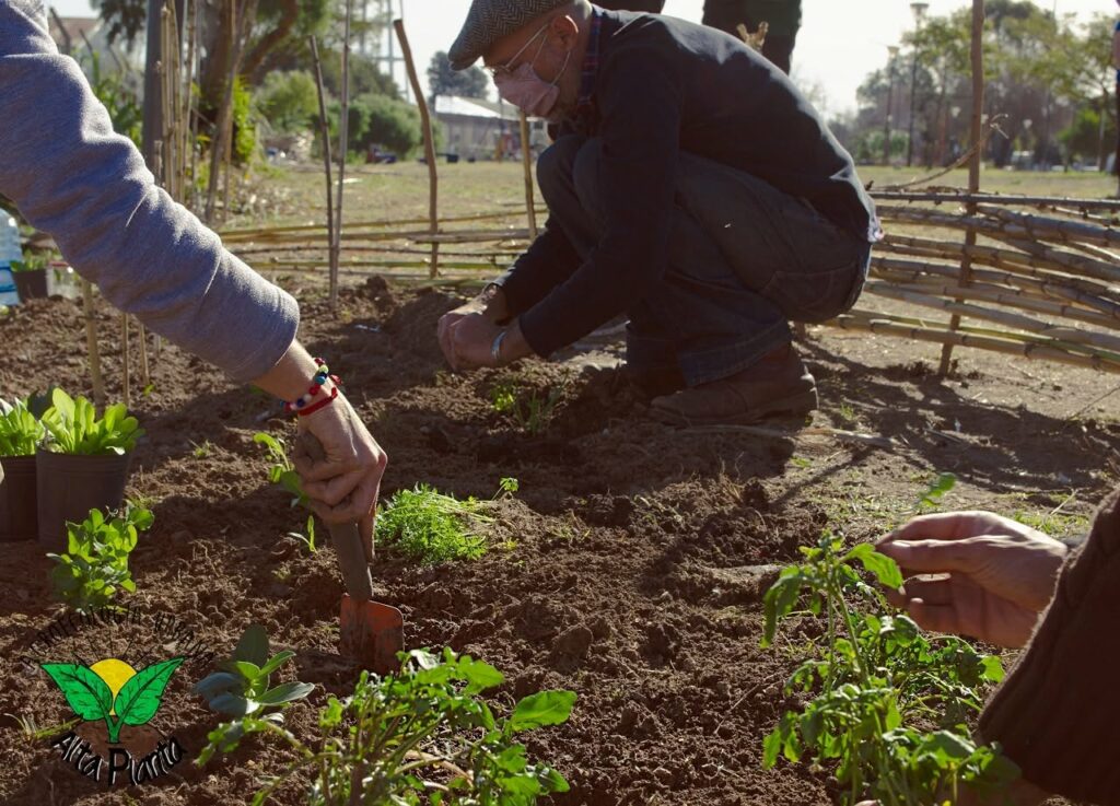 application de bokashi au jardin